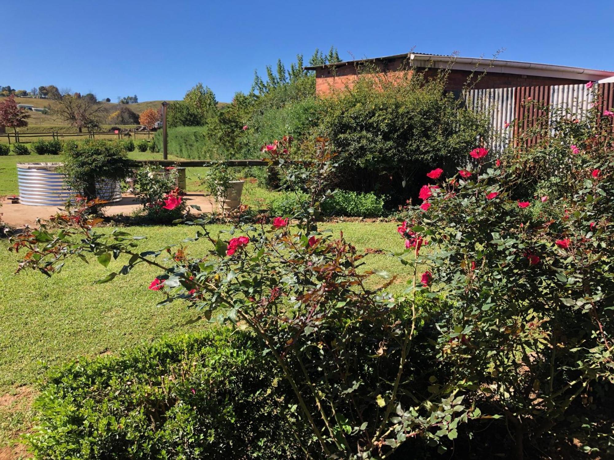 Bauernhof Springvale Farm